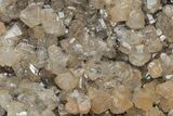Cerussite Crystals on Galena - Morocco #213572-2